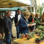 Beau succès pour la 2ème édition du «Troc de Plantes»